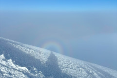 IMG_7869-2