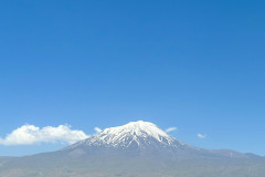 IMG_7915-2